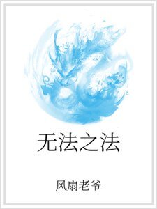 無法之法