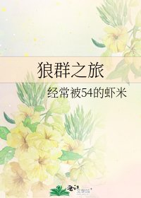 狼群之旅